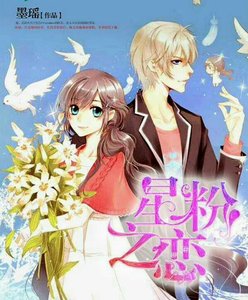 《星粉之恋》
