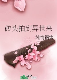 《砖头拍到异世来》