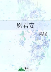 《愿君安》