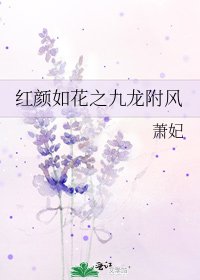 烘顏如花之九龍附風