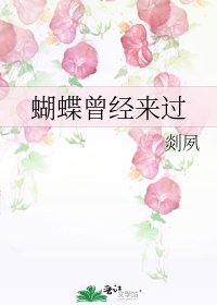 蝴蝶曾經來過
